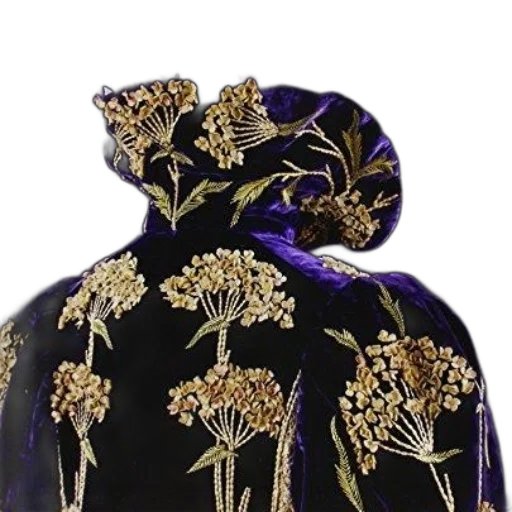 jacket, crown, dress, jewelry, dark, golden, cover, clare transparent PNG cut-out