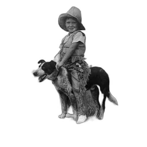 animal, hat, creature, staff transparent PNG cut-out