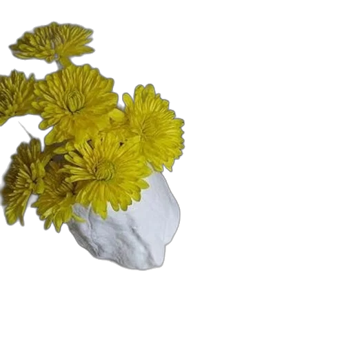 flower, crown, mask, jewelry, 3d render, photorealistic, minimalist, still transparent PNG cut-out