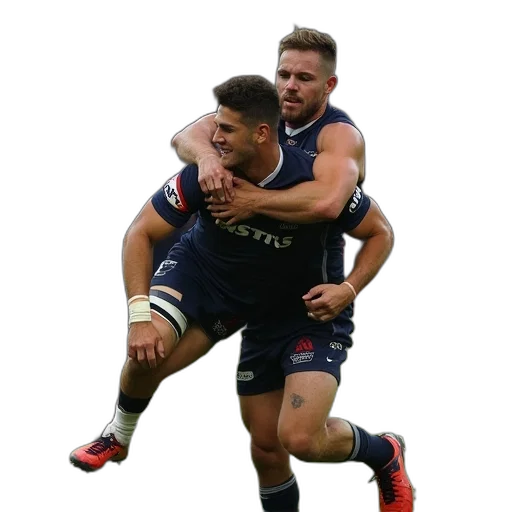 animal, carlton, player, taken transparent PNG cut-out