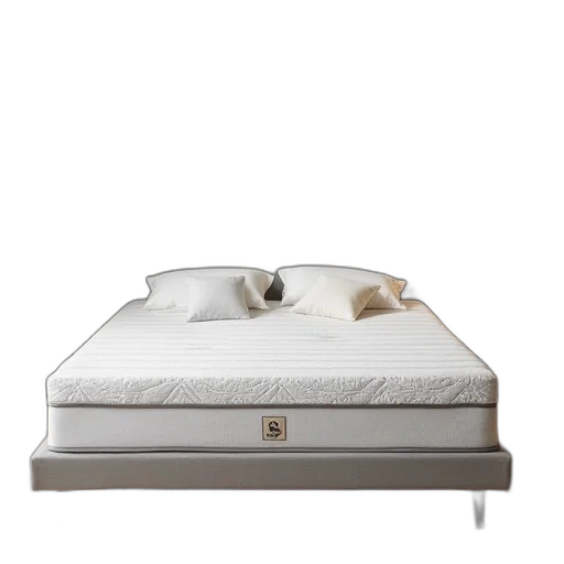 furniture, animal, sealy, mattress transparent PNG cut-out