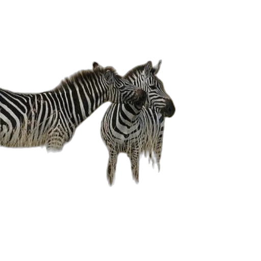 animal, creature, jewelry, crown, 3d render, photorealistic, concept art, fantasy art transparent PNG cut-out