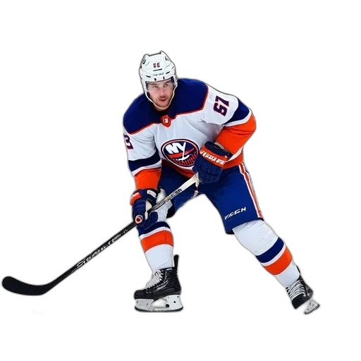 animal, weapon, picture, new, york, islanders, card, nhl transparent PNG cut-out