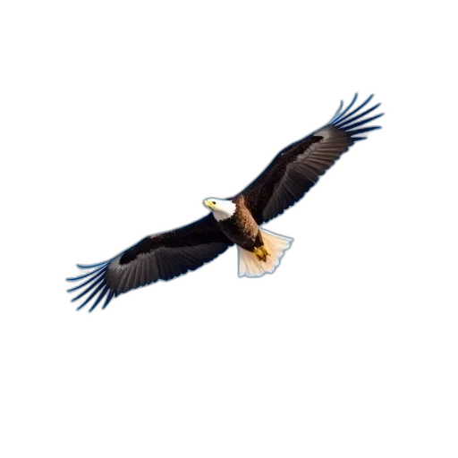 animal, pixel art, 3d render, photorealistic transparent PNG cut-out