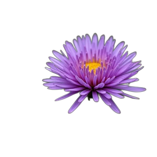 flower, crown, jewelry, staff, 3d render, photorealistic, concept art, pixel art transparent PNG cut-out
