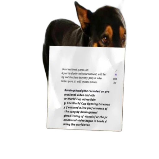 animal, staff, promotional, video, world, cup, featuring, visuals transparent PNG cut-out