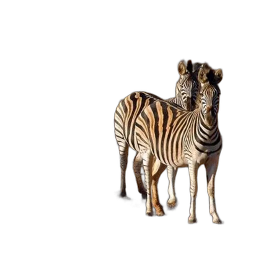 animal, creature, furniture, jewelry, 3d render, concept art, photorealistic, pixel art transparent PNG cut-out
