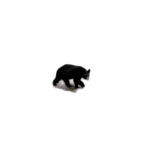 animal, creature, weapon, hat, 3d render, pixel art, concept art, photorealistic transparent PNG cut-out