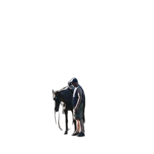 animal, staff, jacket, hat, pixel art, concept art, 3d render, photorealistic transparent PNG cut-out