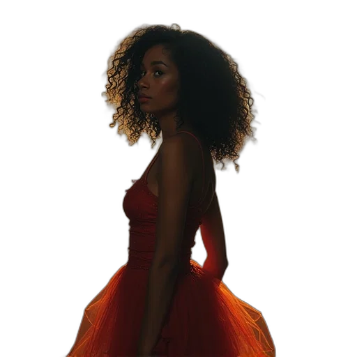 dress, hair, crown, concept art transparent PNG cut-out