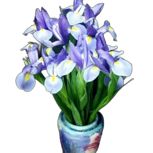 flower, crown, bottle, staff, photorealistic, oil painting, watercolor, 3d render transparent PNG cut-out
