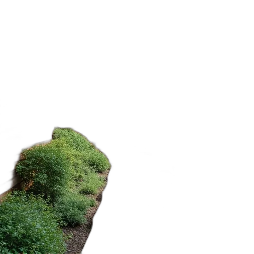 tree, face, mask, shoes, 3d render, photorealistic, pixel art, concept art transparent PNG cut-out