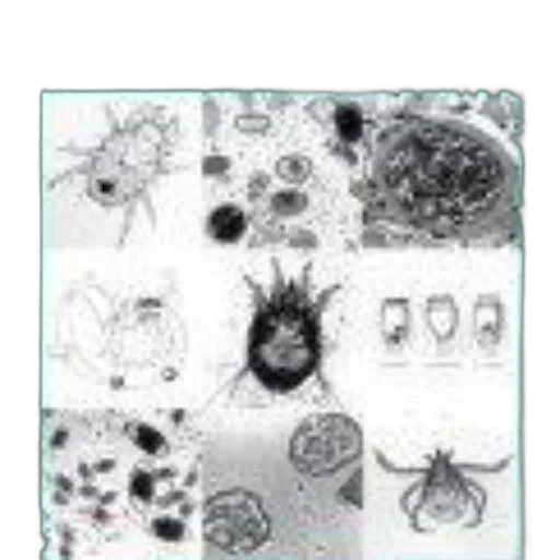 animal, reference, manual, cover, featuring, various, microscopic, images transparent PNG cut-out