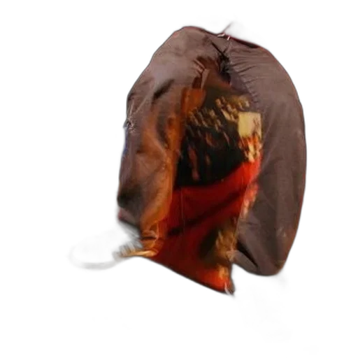 hat, mask, jacket, dragon, photorealistic, 3d render, concept art, dynamic transparent PNG cut-out