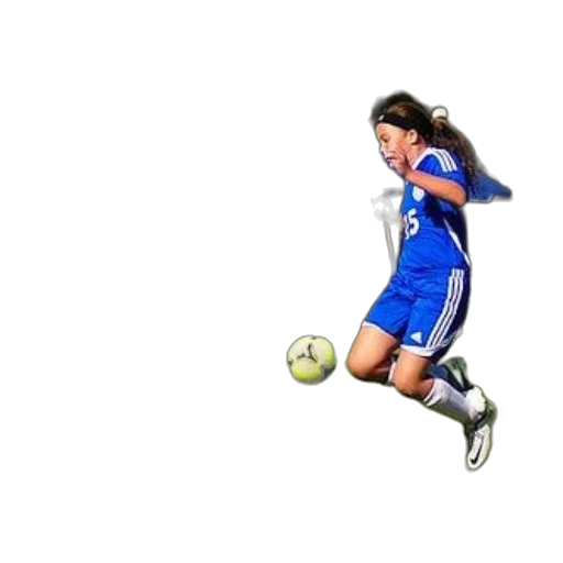 animal, hair, dragon, photorealistic, pixel art, 3d render, concept art, soccer transparent PNG cut-out