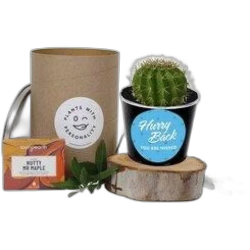 cactus, plant, black, pot, blue, sticker, saying, hurry transparent PNG cut-out