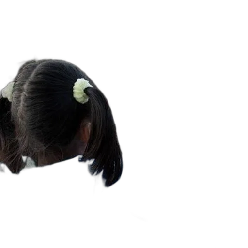 hair, animal, creature, crown, 3d render, photorealistic, concept art, anime transparent PNG cut-out
