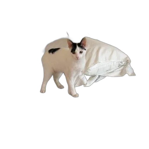 animal, creature, staff, weapon, 3d render, photorealistic, pixel art, white transparent PNG cut-out