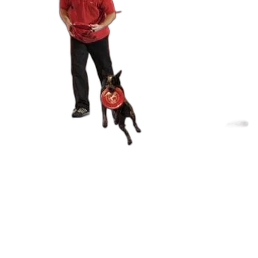 staff, animal, creature, jacket, 3d render, pixel art, photorealistic, concept art transparent PNG cut-out
