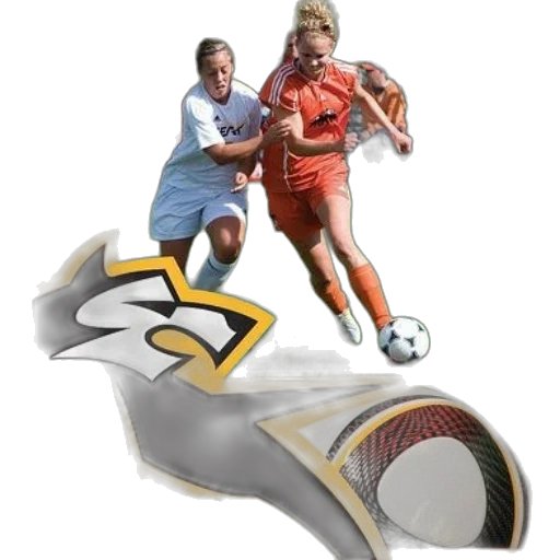 shoes, photorealistic, soccer, media transparent PNG cut-out