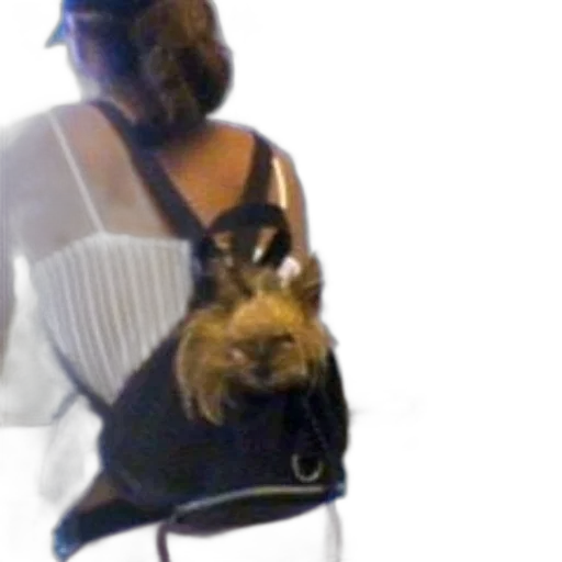 animal, dress, creature, staff transparent PNG cut-out
