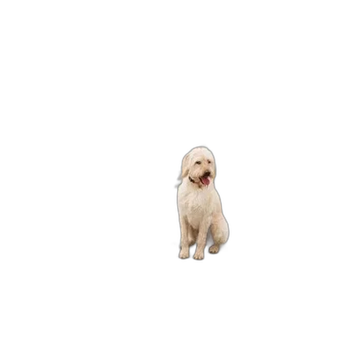 animal, creature, hair, staff, pixel art, photorealistic, 3d render, concept art transparent PNG cut-out