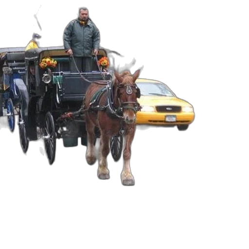 car, photorealistic, horse-drawn, carriage, being, pulled, down, street transparent PNG cut-out