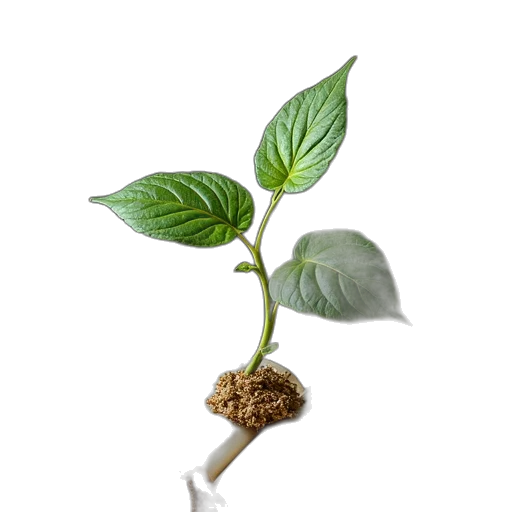 staff, food, tree, flower transparent PNG cut-out