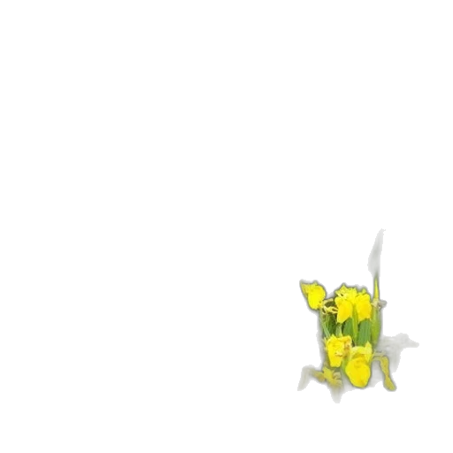flower, dragon, weapon, crown transparent PNG cut-out