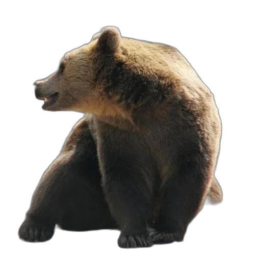animal, creature, staff, face, photorealistic, 3d render, concept art, brown transparent PNG cut-out