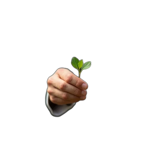 staff, food, tree, weapon transparent PNG cut-out