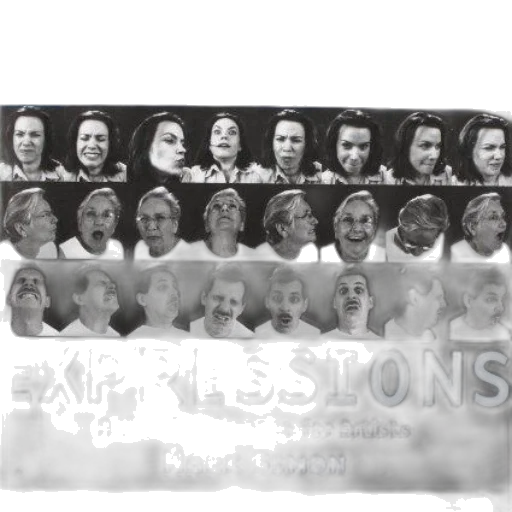 photorealistic, facial, expressions, visual, reference, artists, mark, simon transparent PNG cut-out