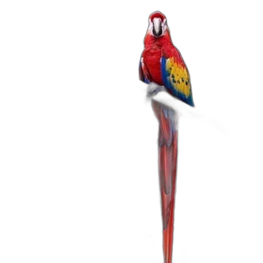 staff, animal, umbrella, weapon, concept art, 3d render, photorealistic, pixel art transparent PNG cut-out