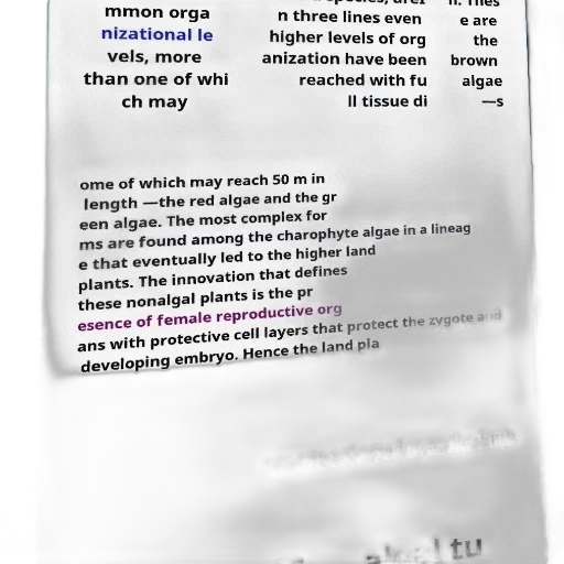 staff, dress, mask, tree, text-heavy, image, explaining, complexity transparent PNG cut-out