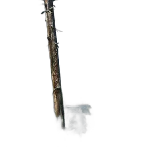 staff, weapon, sword, animal, concept art, fantasy art, watercolor, 3d render transparent PNG cut-out
