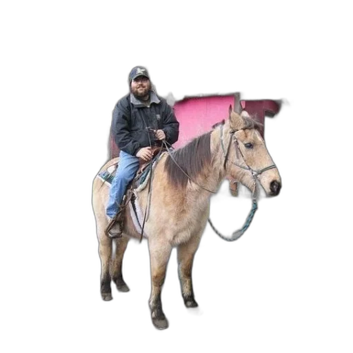 animal, jacket, staff, hat transparent PNG cut-out