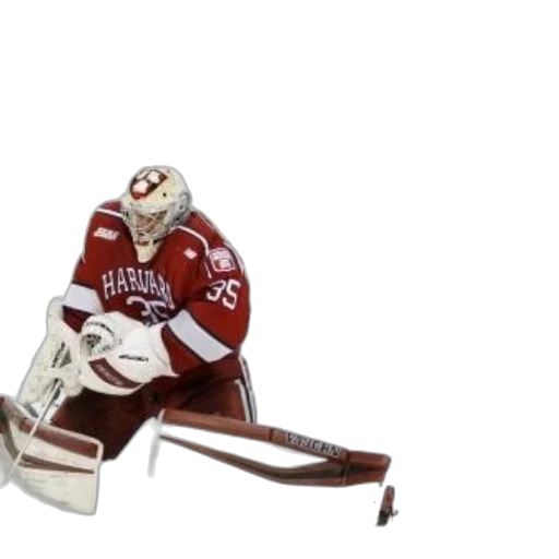 weapon, 3d render, harvard, hockey, goalie, process, blocking, shot transparent PNG cut-out