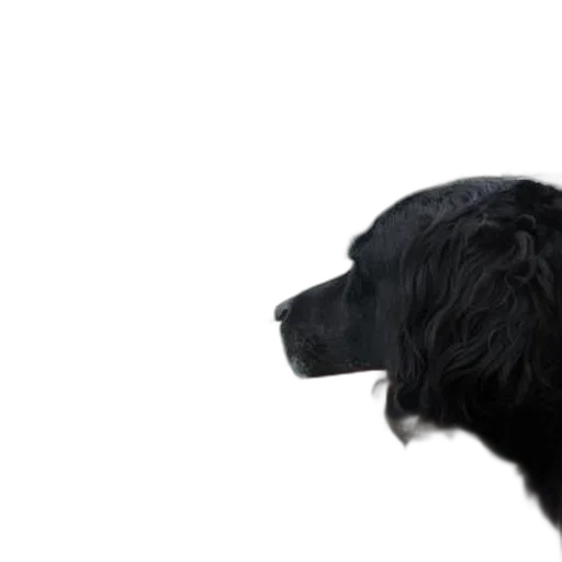 animal, staff, face, creature, photorealistic, 3d render, concept art, pixel art transparent PNG cut-out