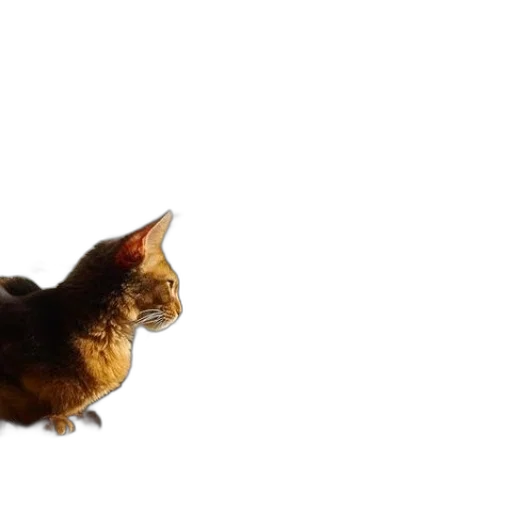 animal, staff, creature, dragon, photorealistic, 3d render, concept art, cat transparent PNG cut-out