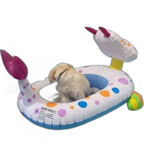 small, dog, floating, colorful, inflatable, pool, toy, polka transparent PNG cut-out