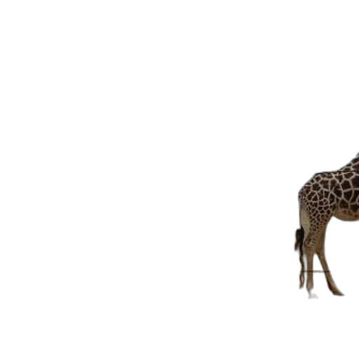 animal, creature, crown, furniture, 3d render, concept art, photorealistic, pixel art transparent PNG cut-out