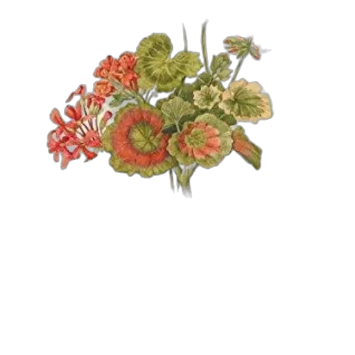 crown, flower, jewelry, staff, photorealistic, red, earth tones, vintage-style transparent PNG cut-out
