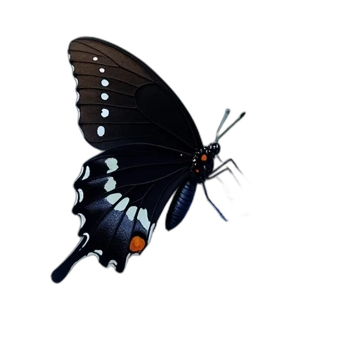 animal, umbrella, creature, jewelry, concept art, 3d render, pixel art, photorealistic transparent PNG cut-out