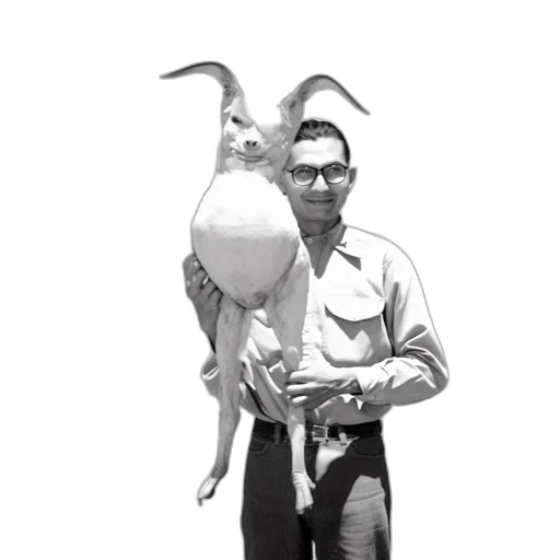 staff, animal, creature, umbrella, photorealistic, 3d render, concept art, man transparent PNG cut-out