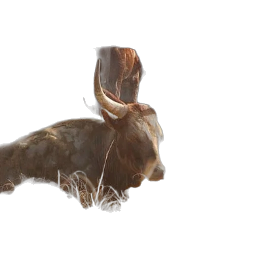 animal, hair, creature, crown, photorealistic, concept art, 3d render, oil painting transparent PNG cut-out