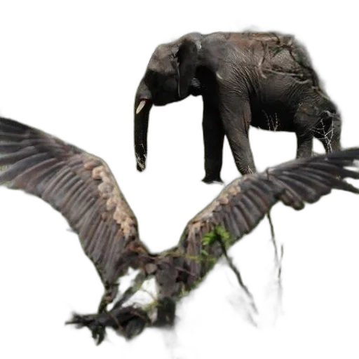 dragon, animal, creature, weapon transparent PNG cut-out