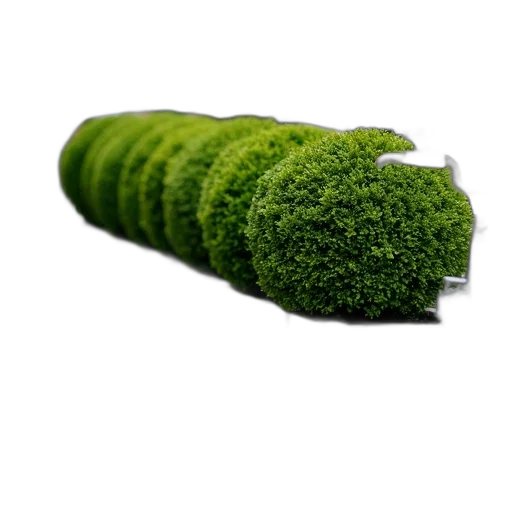 food, tree, hair, weapon, 3d render, photorealistic, green, row transparent PNG cut-out