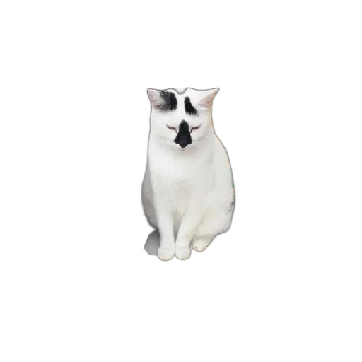 animal, staff, creature, face, 3d render, photorealistic, pixel art, concept art transparent PNG cut-out