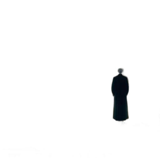 dress, jacket, umbrella, staff, concept art, 3d render, pixel art, photorealistic transparent PNG cut-out