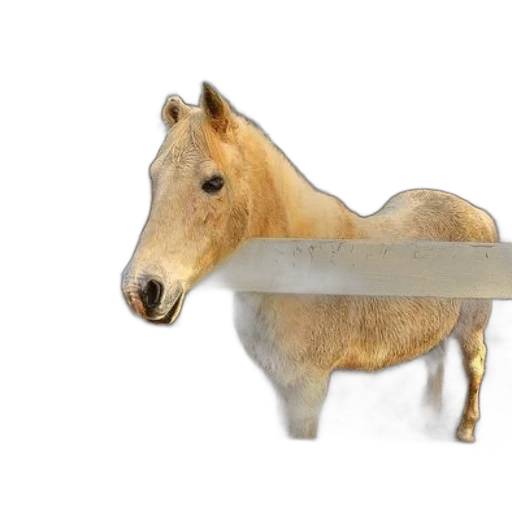 sword, weapon, animal, staff, 3d render, photorealistic, concept art, white transparent PNG cut-out
